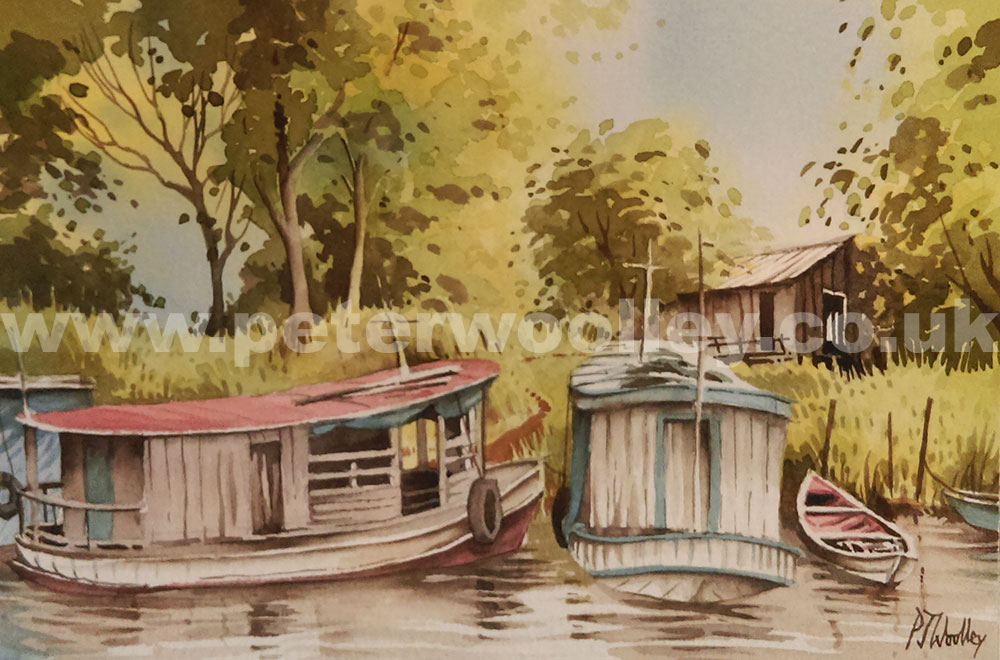 2015-01-25 River Boats, Lake Maica - PAINTING