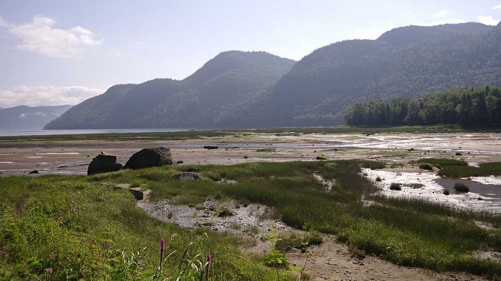 2015-08-15_saguenay_2