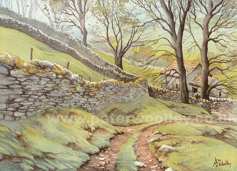 Spring Shadows, Kisdon Hill - watercolour painting by Peter Woolley